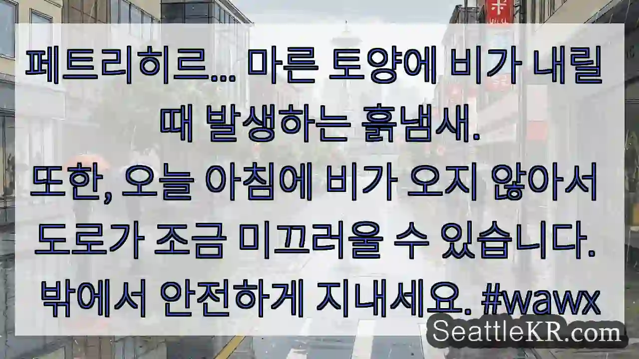 페트리히르... 마른 토양에 비가 내릴 때 발생하는 흙냄새.
또한, 오늘 아침에 비가