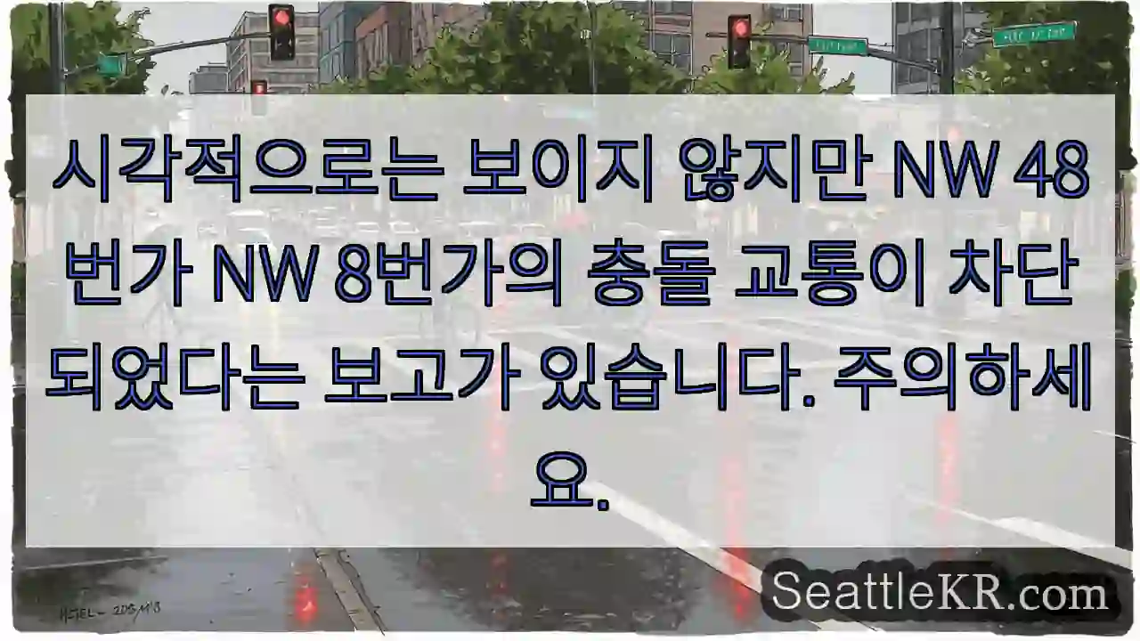 시각적으로는 보이지 않지만 NW 48번가 NW 8번가의 충돌 교통이 차단되었다는 보고가