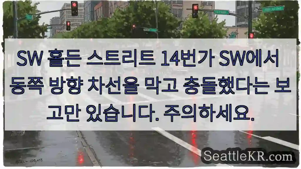 SW 홀든 스트리트 14번가 SW에서 동쪽 방향 차선을 막고 충돌했다는 보고만 있습니다.