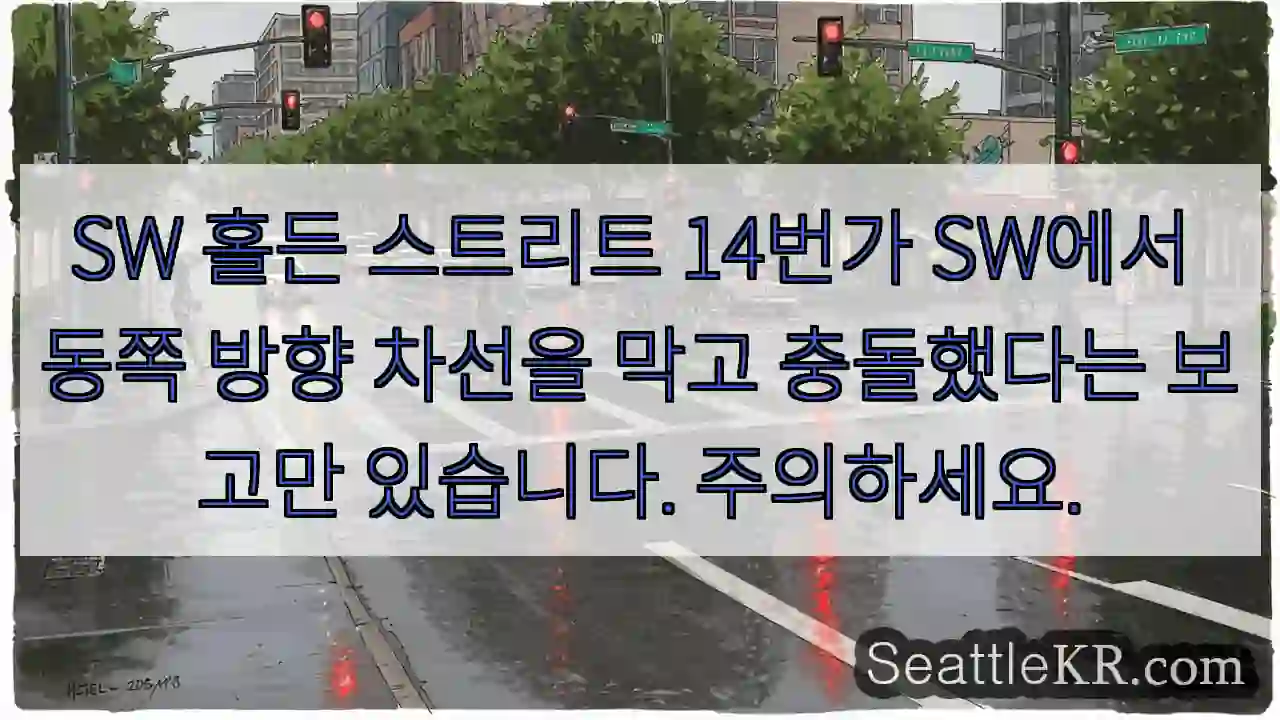 SW 홀든 스트리트 14번가 SW에서 동쪽 방향 차선을 막고 충돌했다는 보고만 있습니다.