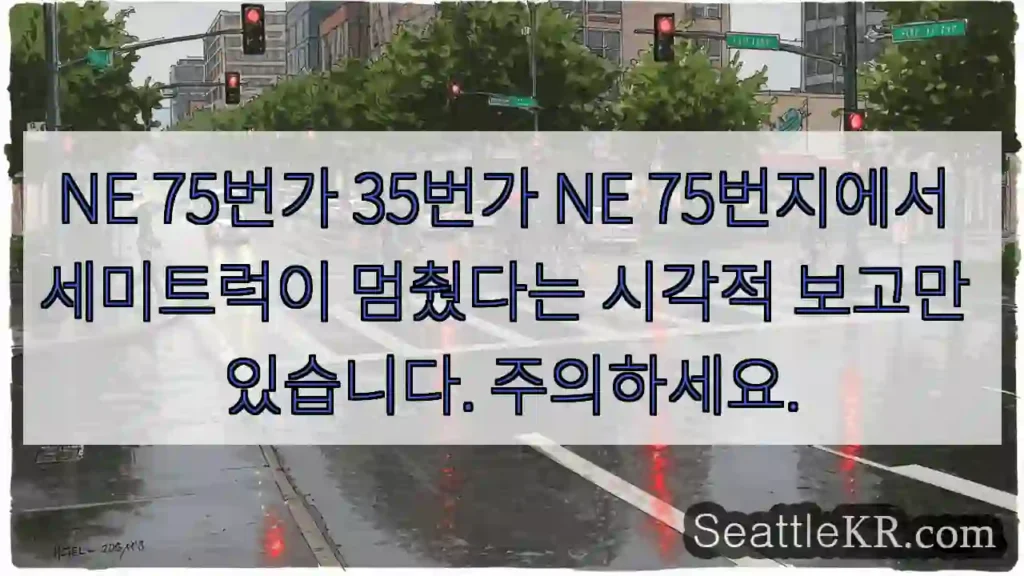 NE 75번가 35번가 NE 75번지에서 세미트럭이 멈췄다는 시각적 보고만 있습니다.