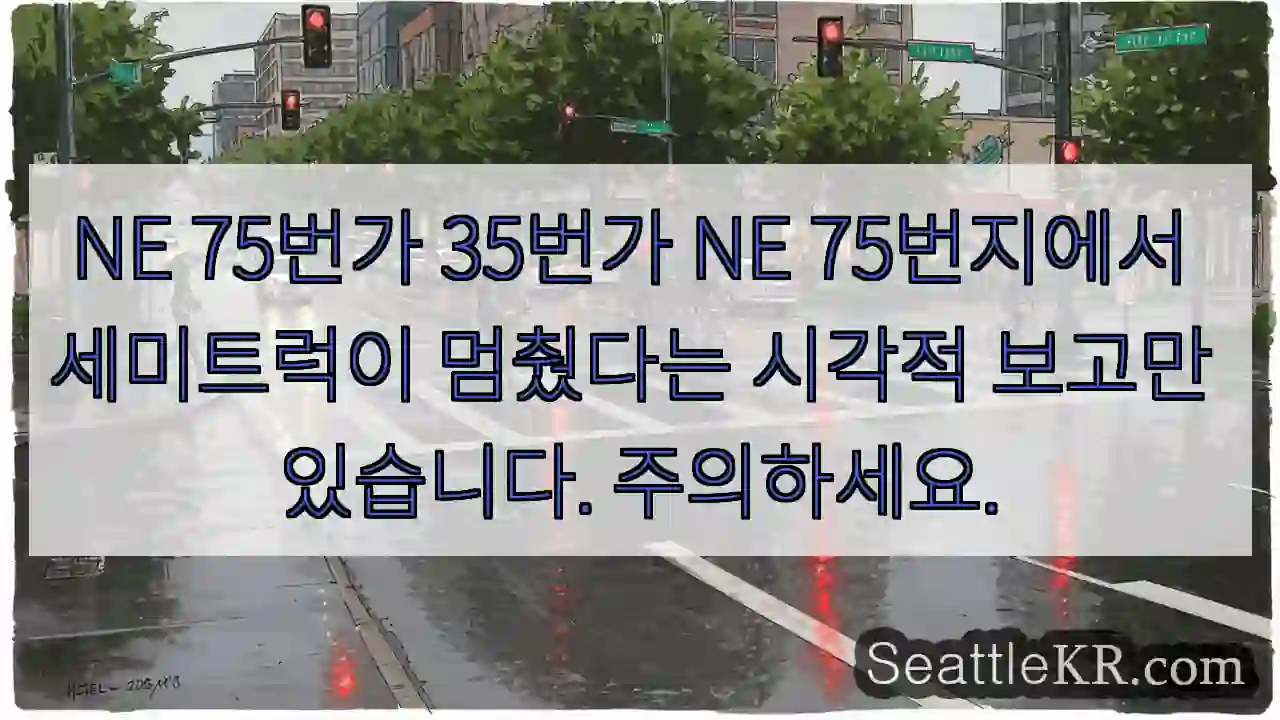 NE 75번가 35번가 NE 75번지에서 세미트럭이 멈췄다는 시각적 보고만 있습니다.