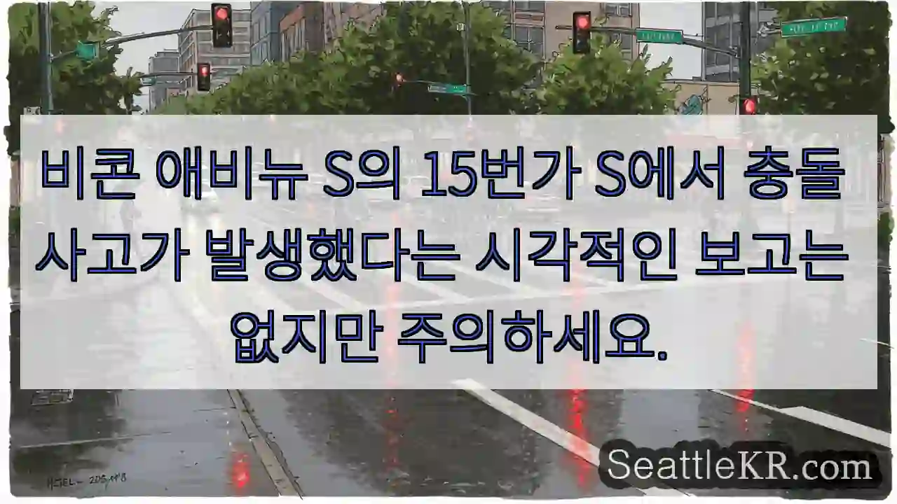 비콘 애비뉴 S의 15번가 S에서 충돌 사고가 발생했다는 시각적인 보고는 없지만