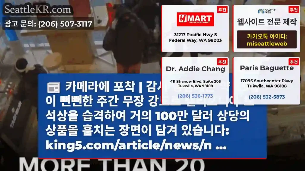 카메라에 포착 | 감시 영상에는 약 25명이 뻔뻔한 주간 무장 강도로 캘리포니아 보석상을