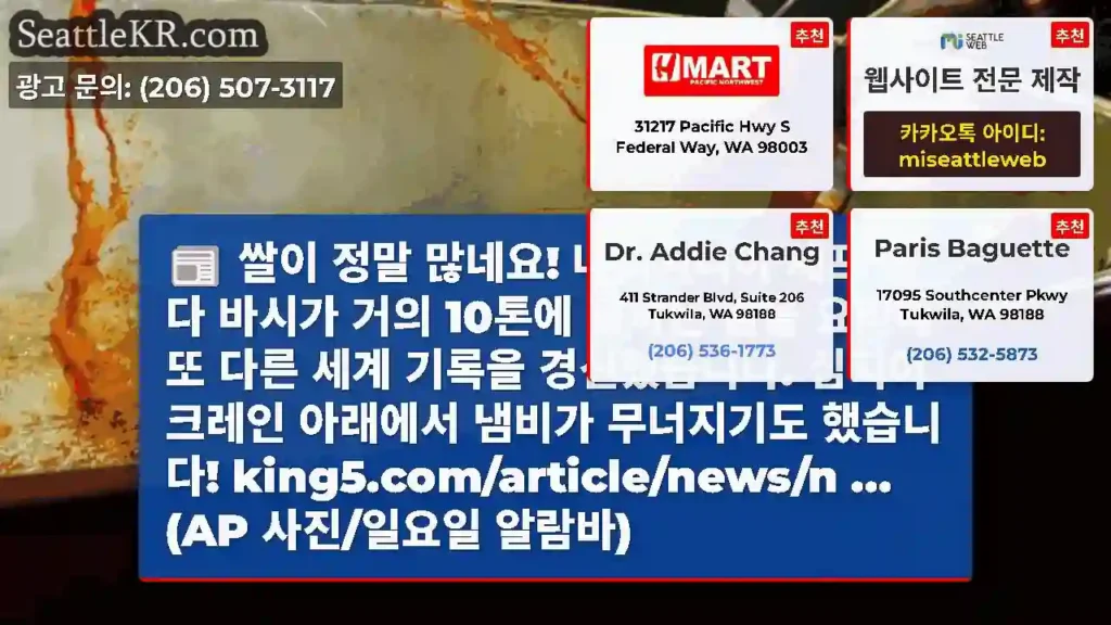 쌀이 정말 많네요! 나이지리아 셰프 힐다 바시가 거의 10톤에 달하는 쌀을 요리해 또