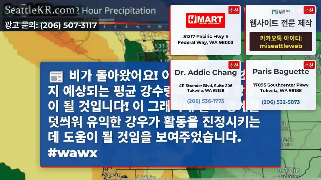 비가 돌아왔어요! 이것은 목요일 초까지 예상되는 평균 강수량이며, 습한 강수량이 될