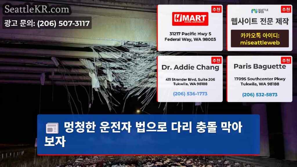 멍청한 운전자 법으로 다리 충돌 막아보자