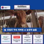 트럼프 약속 저버린 소 농장의 슬픔