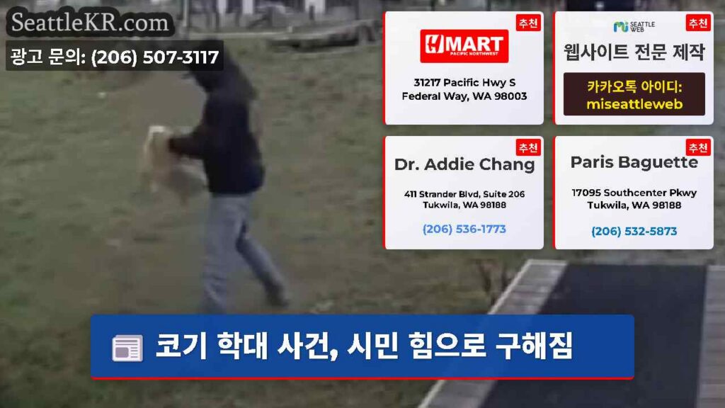 코기 학대 사건, 시민 힘으로 구해짐
