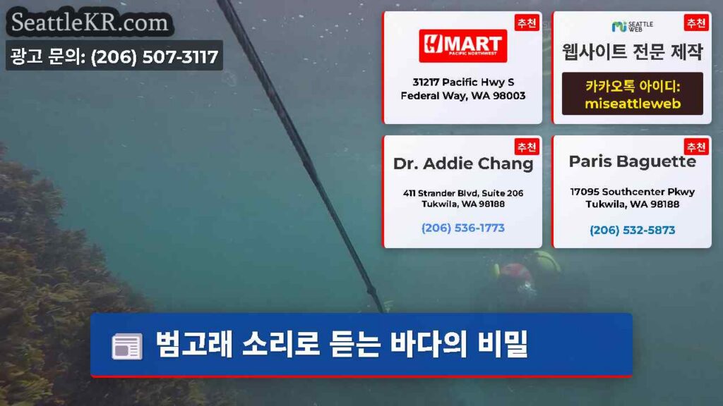 범고래 소리로 듣는 바다의 비밀