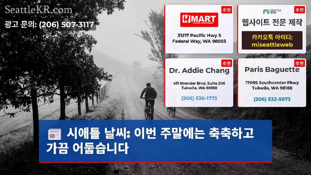 시애틀 날씨: 이번 주말에는 축축하고 가끔 어둡습니다
