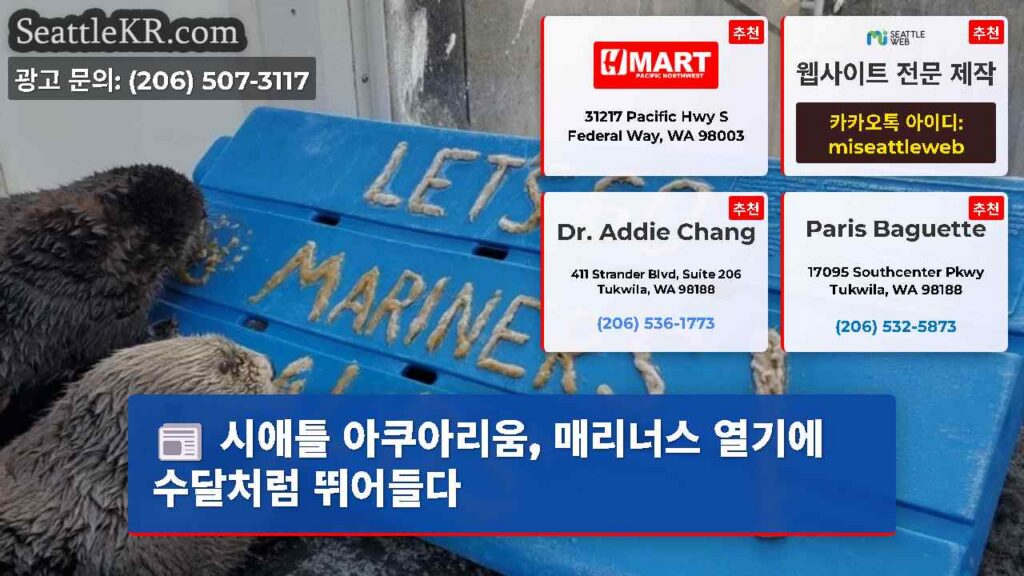시애틀 아쿠아리움, 매리너스 열기에 수달처럼 뛰어들다