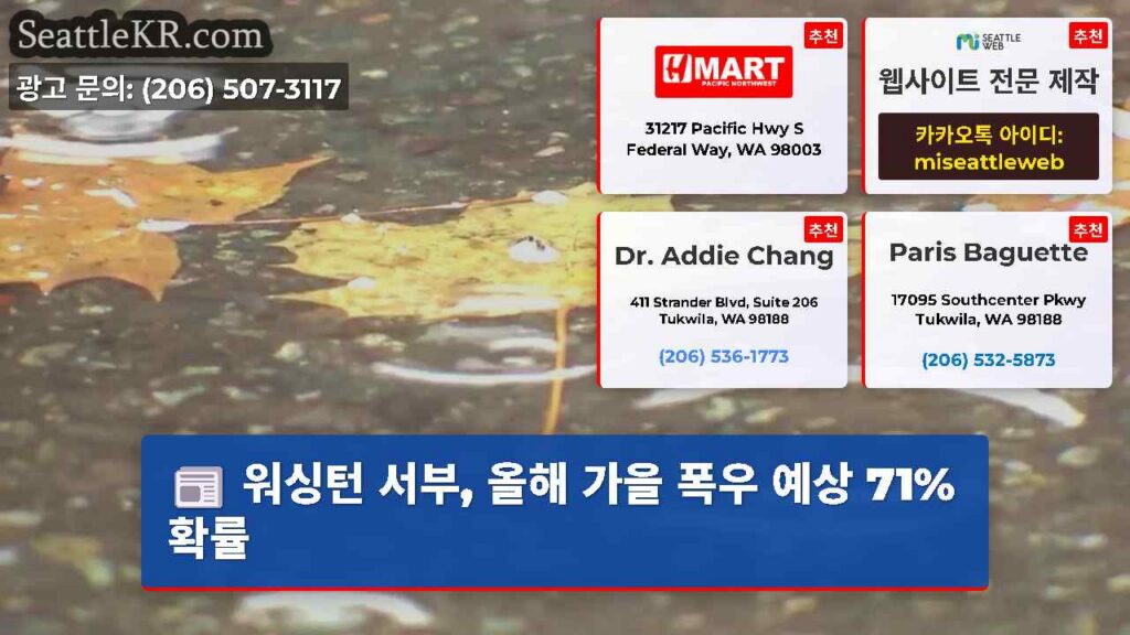 워싱턴 서부, 올해 가을 폭우 예상 71% 확률