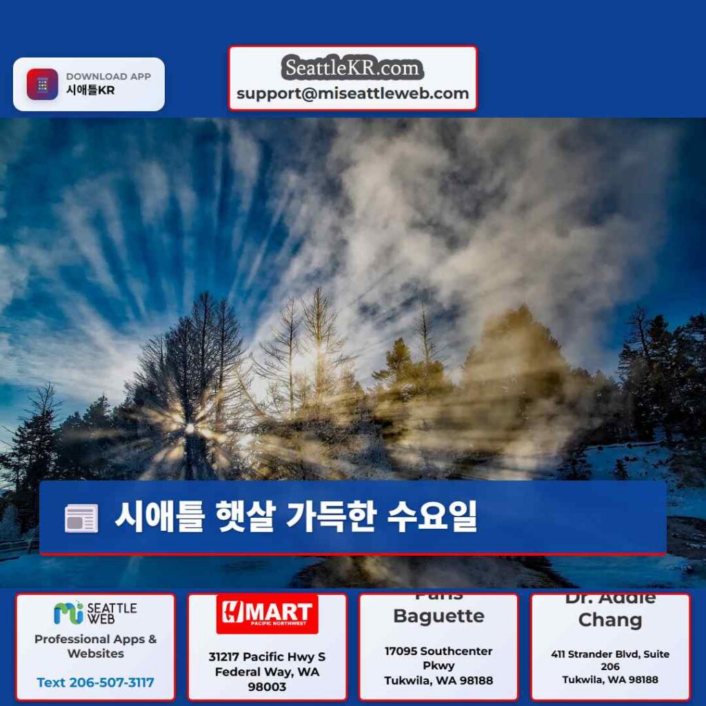 시애틀 햇살 가득한 수요일