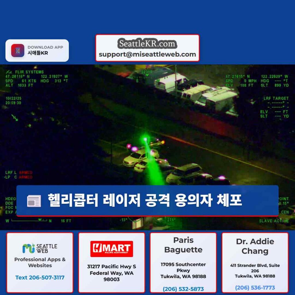 헬리콥터 레이저 공격 용의자 체포