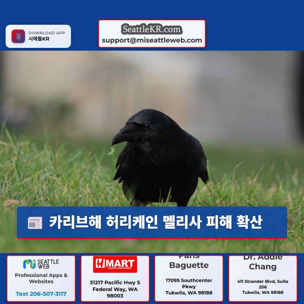 카리브해 허리케인 멜리사 피해 확산