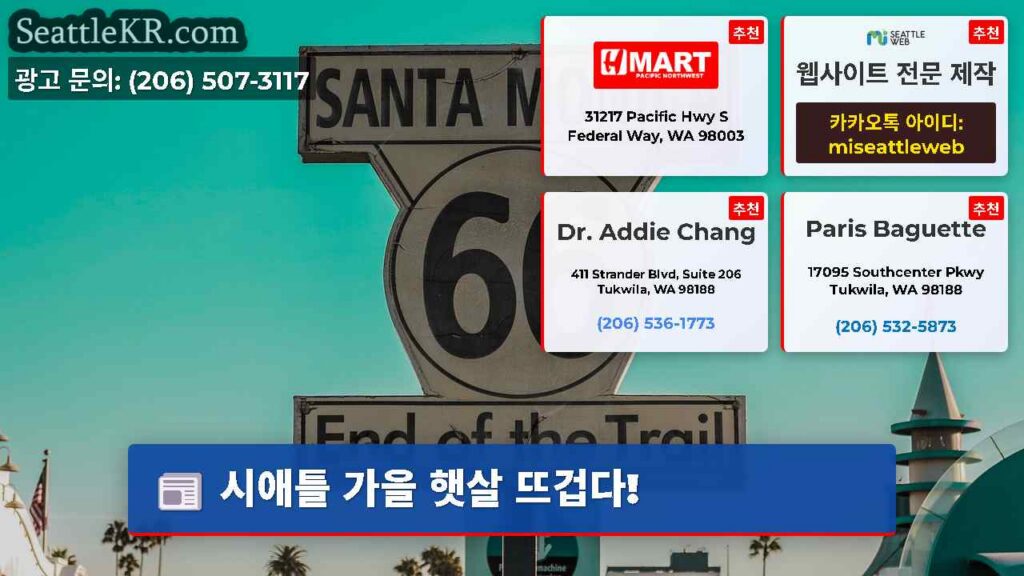 시애틀 가을 햇살 뜨겁다!