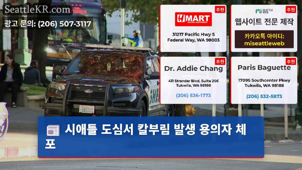 시애틀 도심서 칼부림 발생 용의자 체포