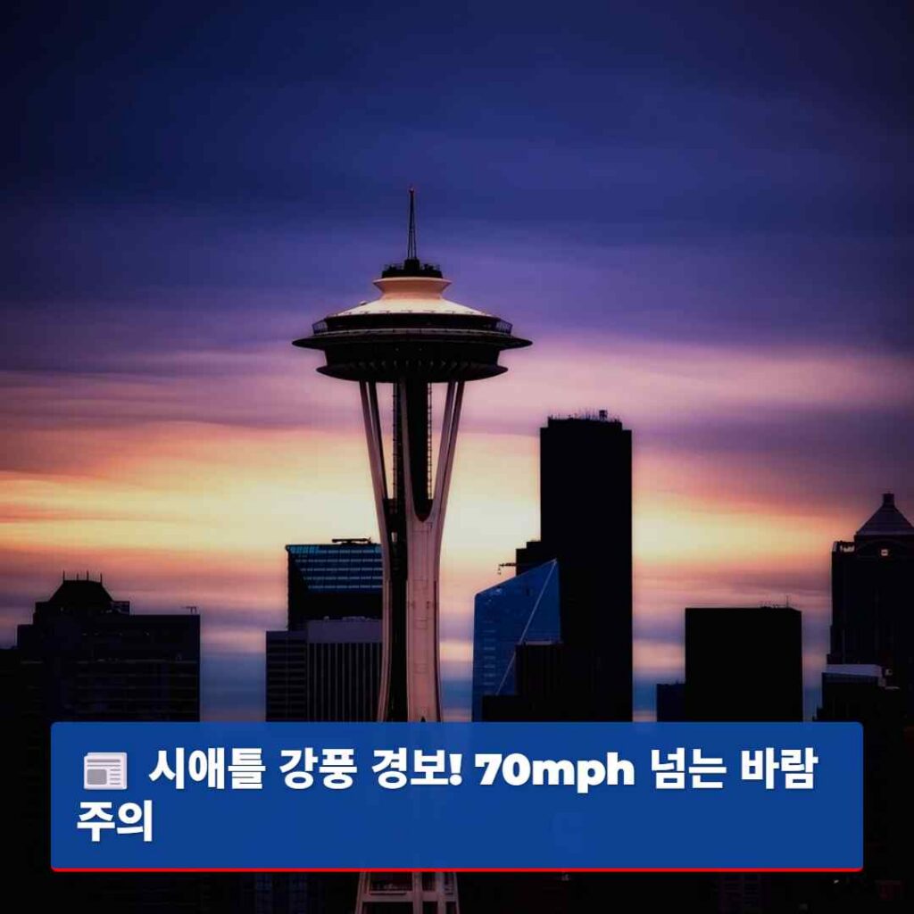 시애틀 강풍 경보! 70mph 넘는 바람 주의