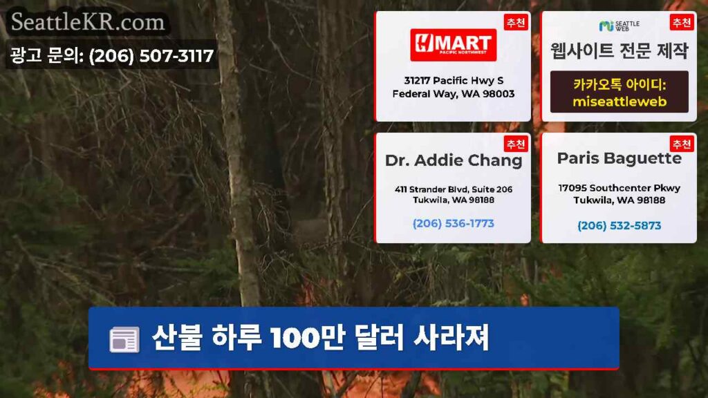 산불 하루 100만 달러 사라져