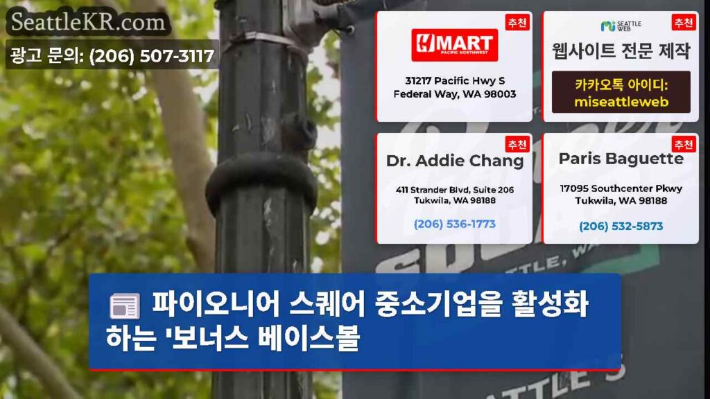 파이오니어 스퀘어 중소기업을 활성화하는 '보너스 베이스볼