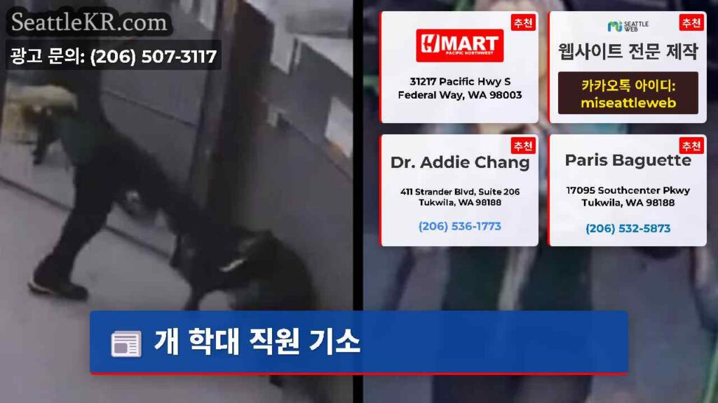 개 학대 직원 기소