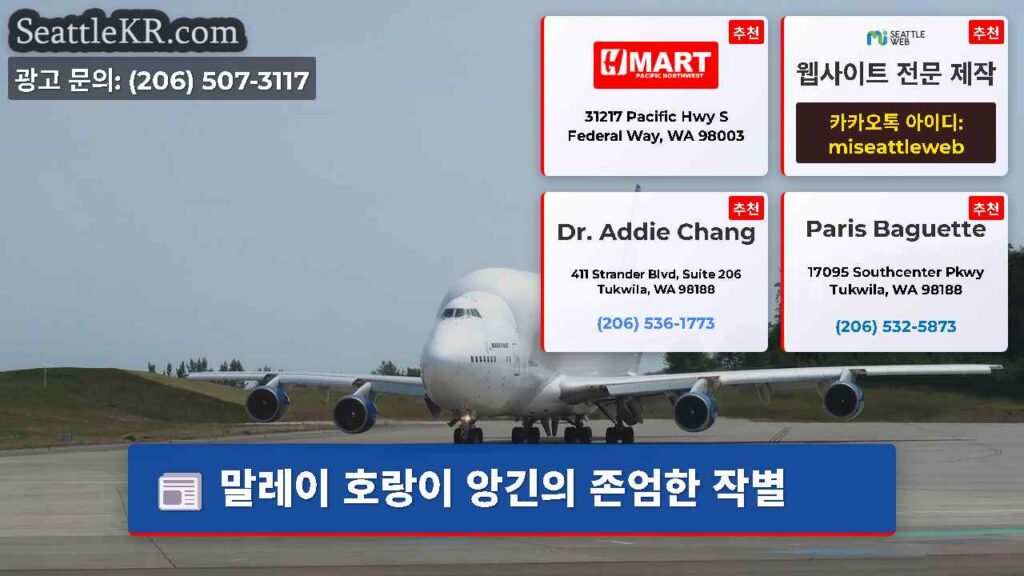 말레이 호랑이 앙긴의 존엄한 작별