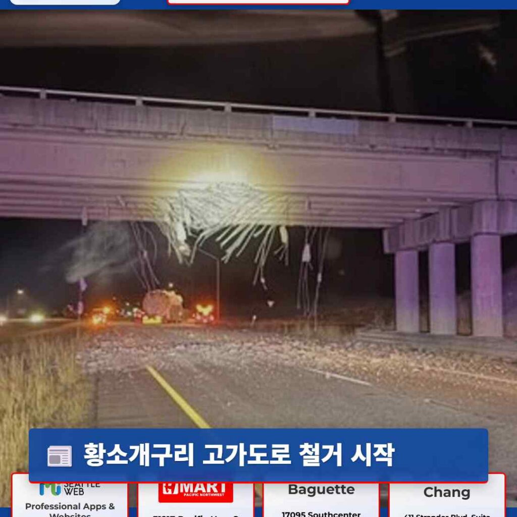 황소개구리 고가도로 철거 시작