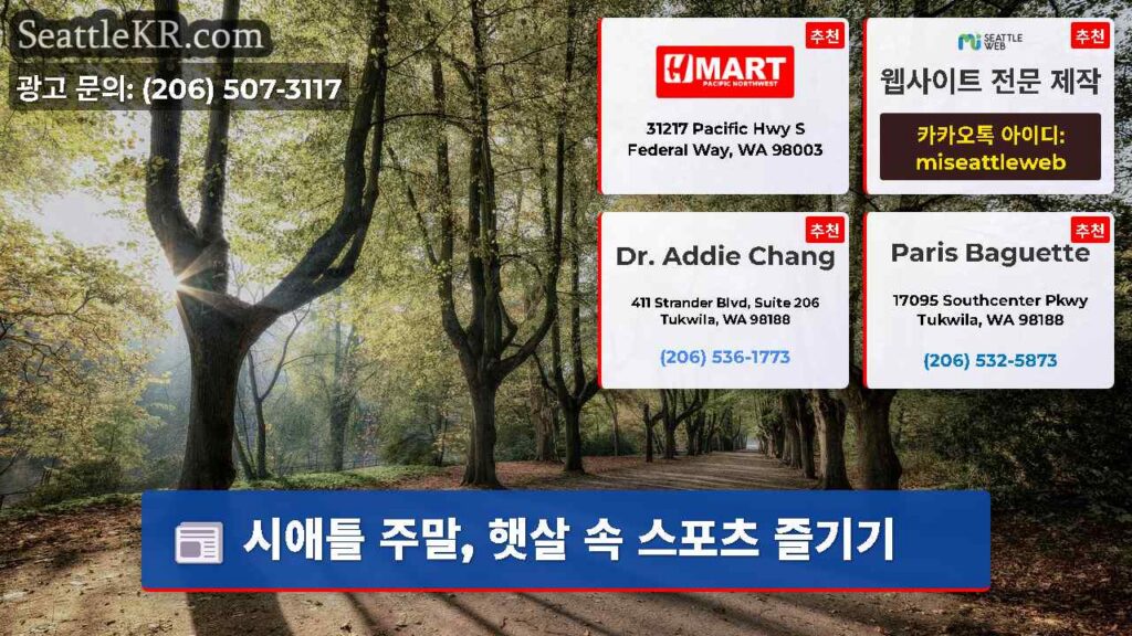 시애틀 주말, 햇살 속 스포츠 즐기기