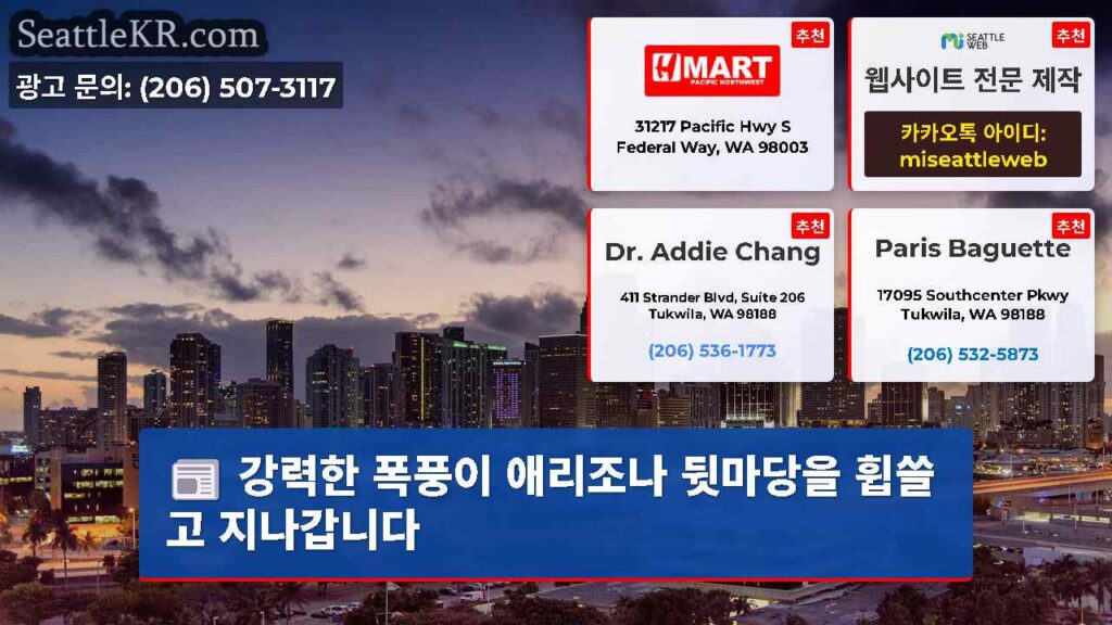 강력한 폭풍이 애리조나 뒷마당을 휩쓸고 지나갑니다