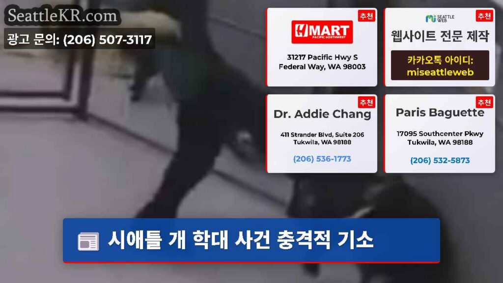 시애틀 개 학대 사건 충격적 기소