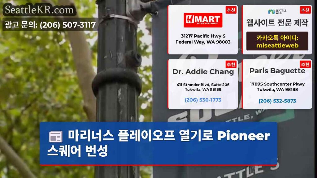 마리너스 플레이오프 열기로 Pioneer 스퀘어 번성