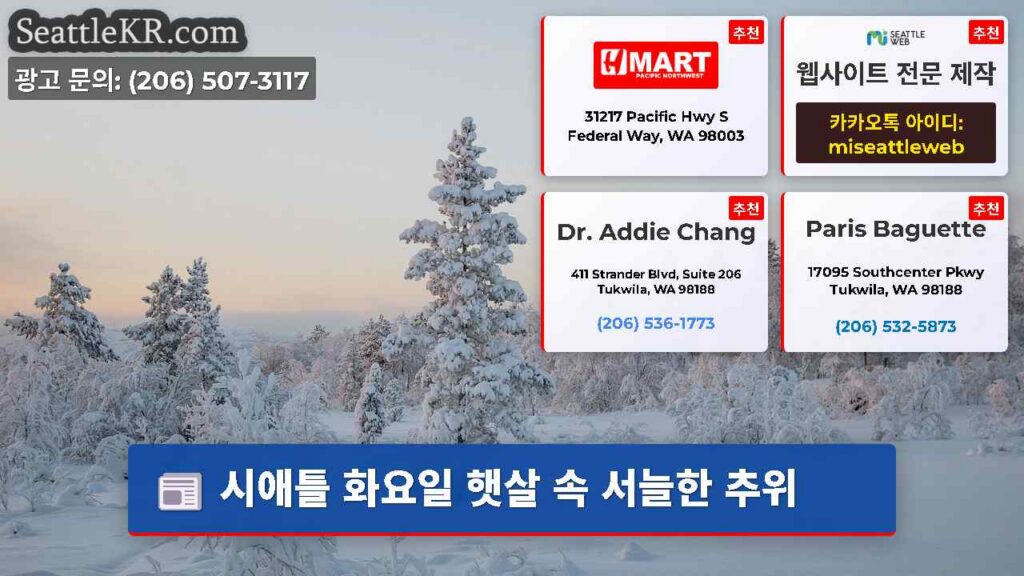 시애틀 화요일 햇살 속 서늘한 추위