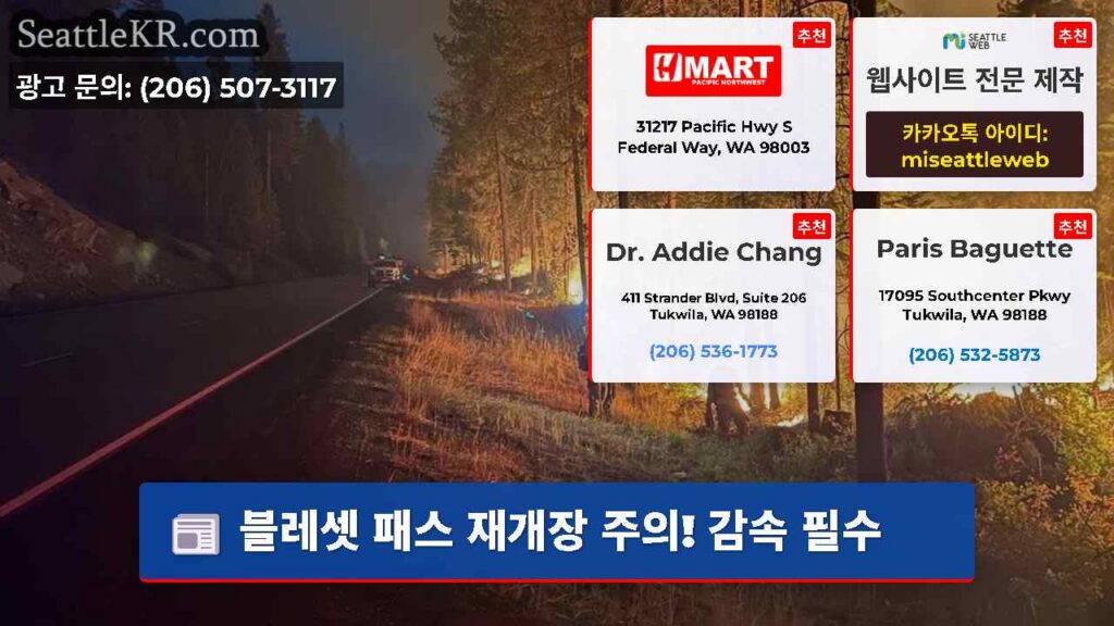 블레셋 패스 재개장 주의! 감속 필수