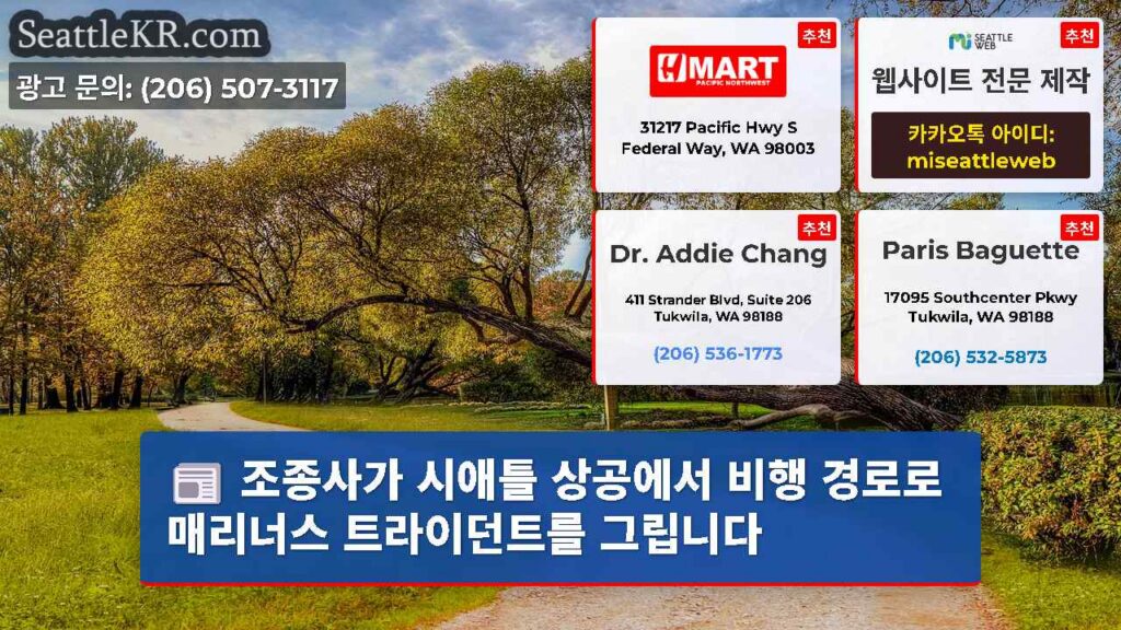 조종사가 시애틀 상공에서 비행 경로로 매리너스 트라이던트를 그립니다