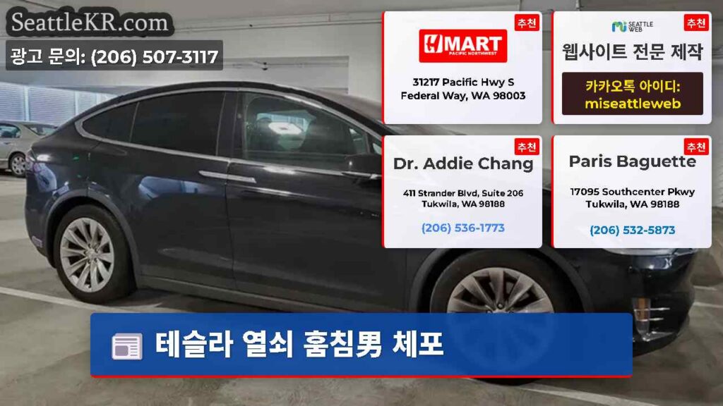 테슬라 열쇠 훔침男 체포