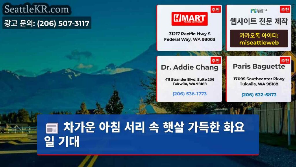 차가운 아침 서리 속 햇살 가득한 화요일 기대