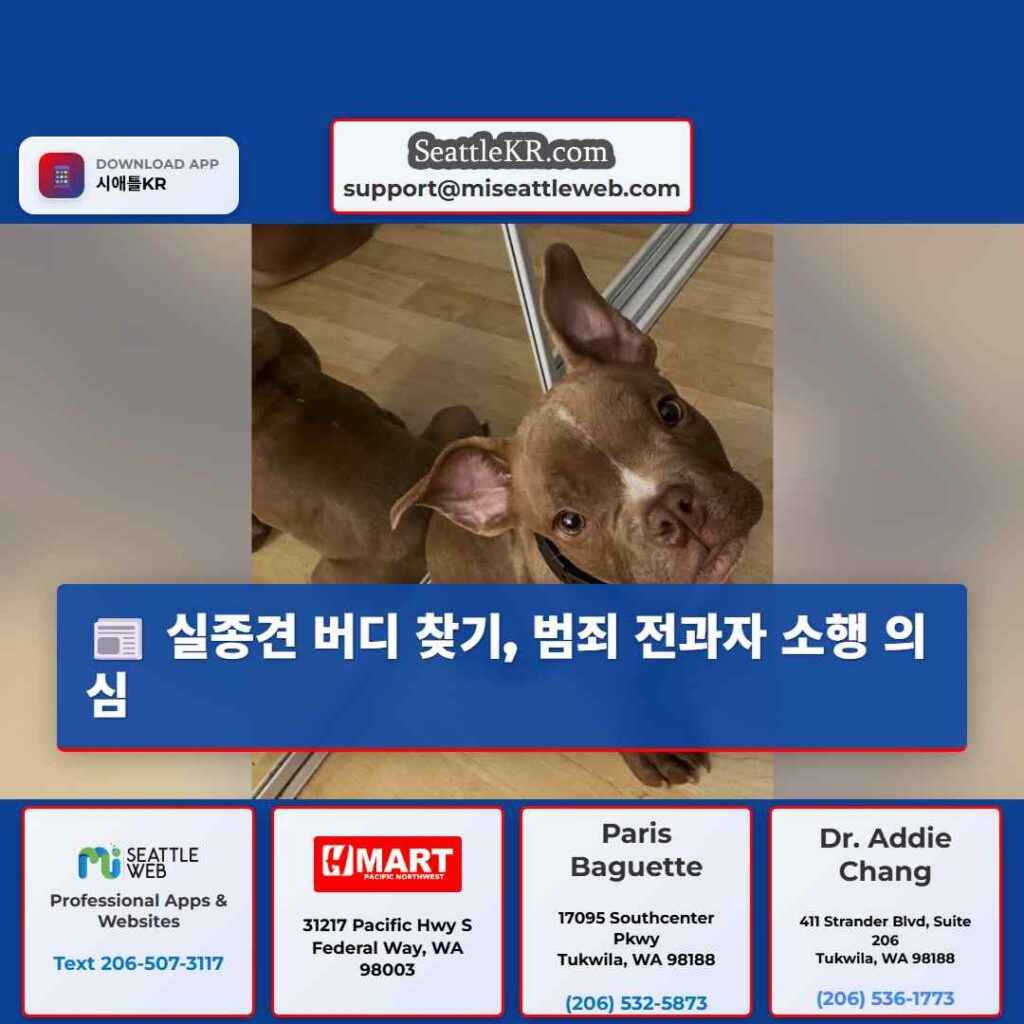 실종견 버디 찾기, 범죄 전과자 소행 의심