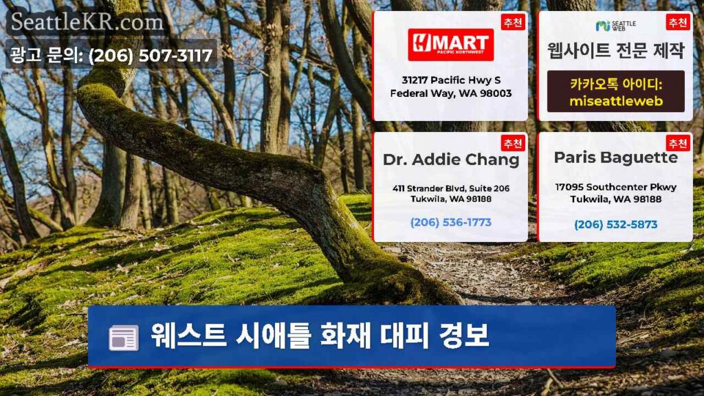 웨스트 시애틀 화재 대피 경보