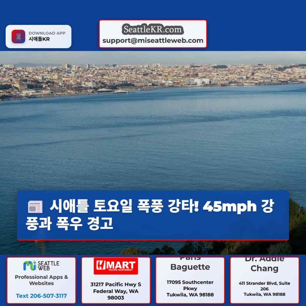 시애틀 토요일 폭풍 강타! 45mph 강풍과 폭우 경고