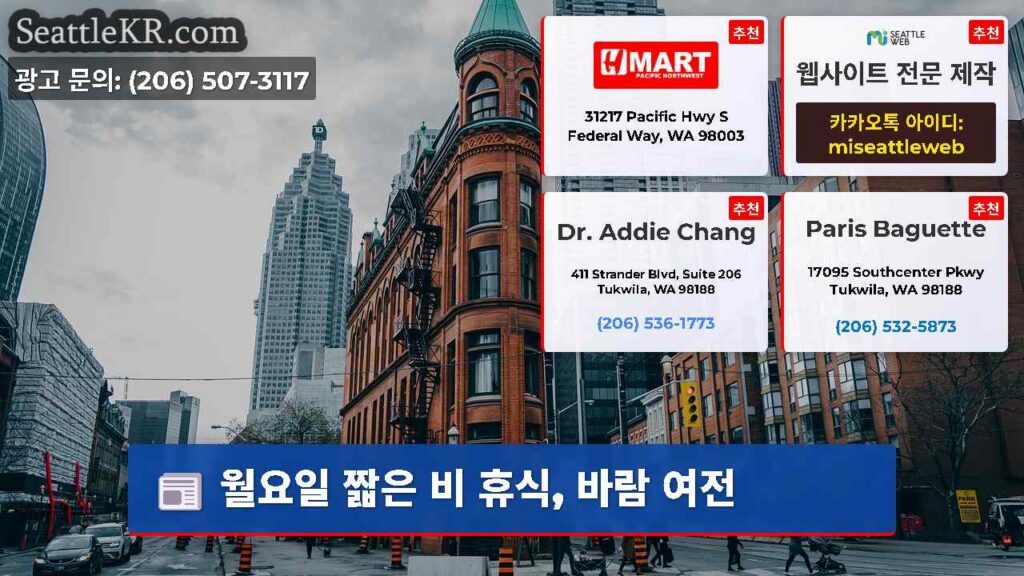 월요일 짧은 비 휴식, 바람 여전
