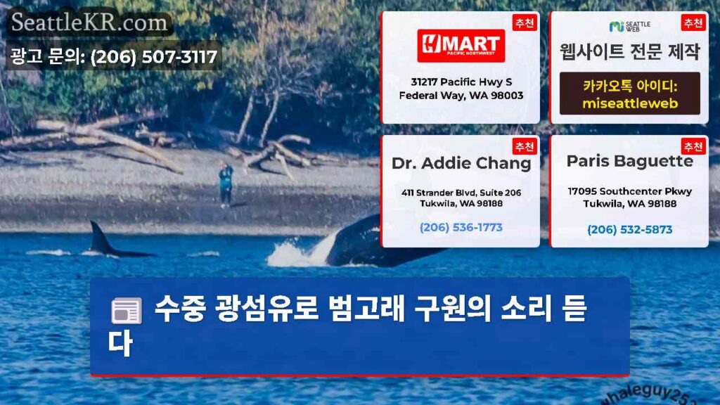 수중 광섬유로 범고래 구원의 소리 듣다