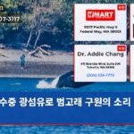 수중 광섬유로 범고래 구원의 소리 듣다