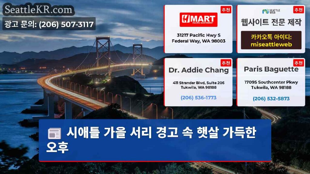 시애틀 가을 서리 경고 속 햇살 가득한 오후