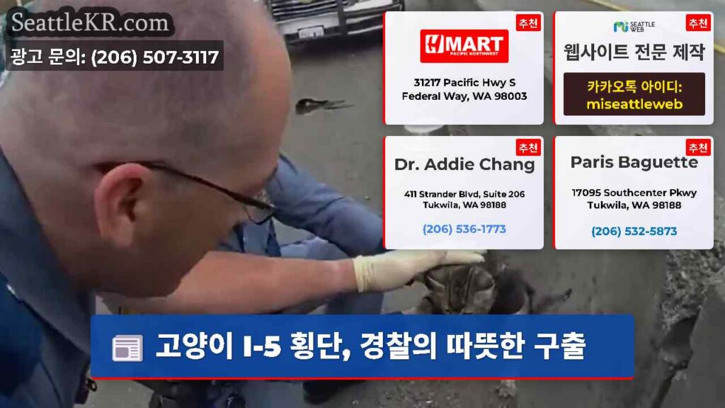 고양이 I-5 횡단, 경찰의 따뜻한 구출