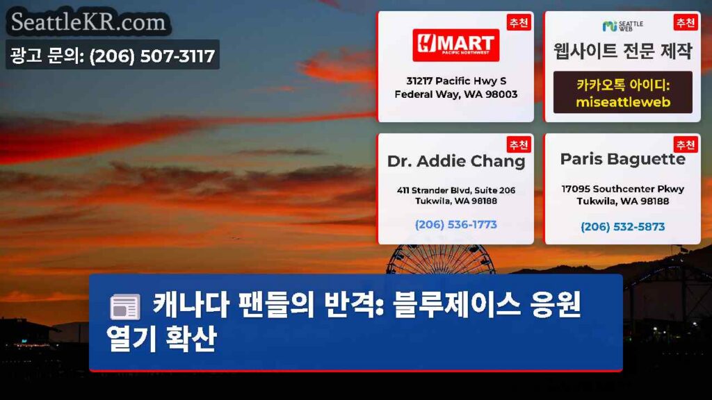 캐나다 팬들의 반격: 블루제이스 응원열기 확산