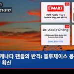 캐나다 팬들의 반격 블루제이스 응원열기 확산