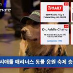 시애틀 매리너스 동물 응원 축제 승리