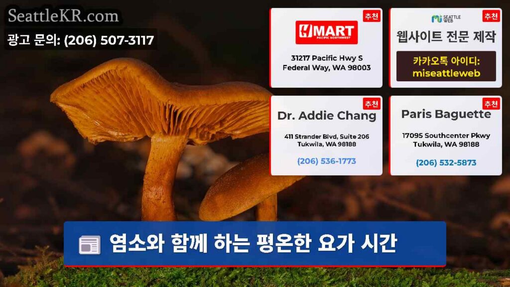 염소와 함께 하는 평온한 요가 시간