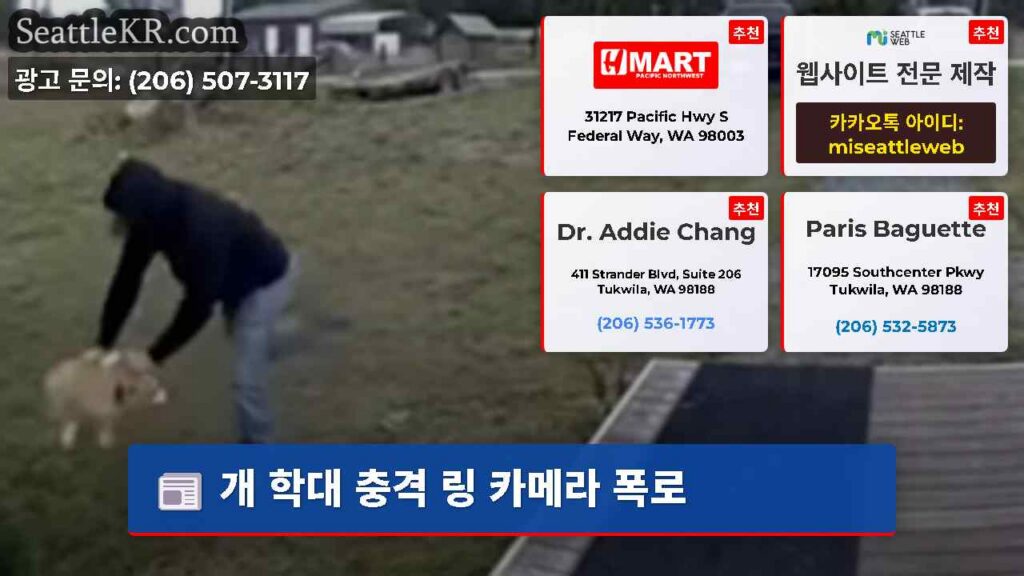 개 학대 충격 링 카메라 폭로